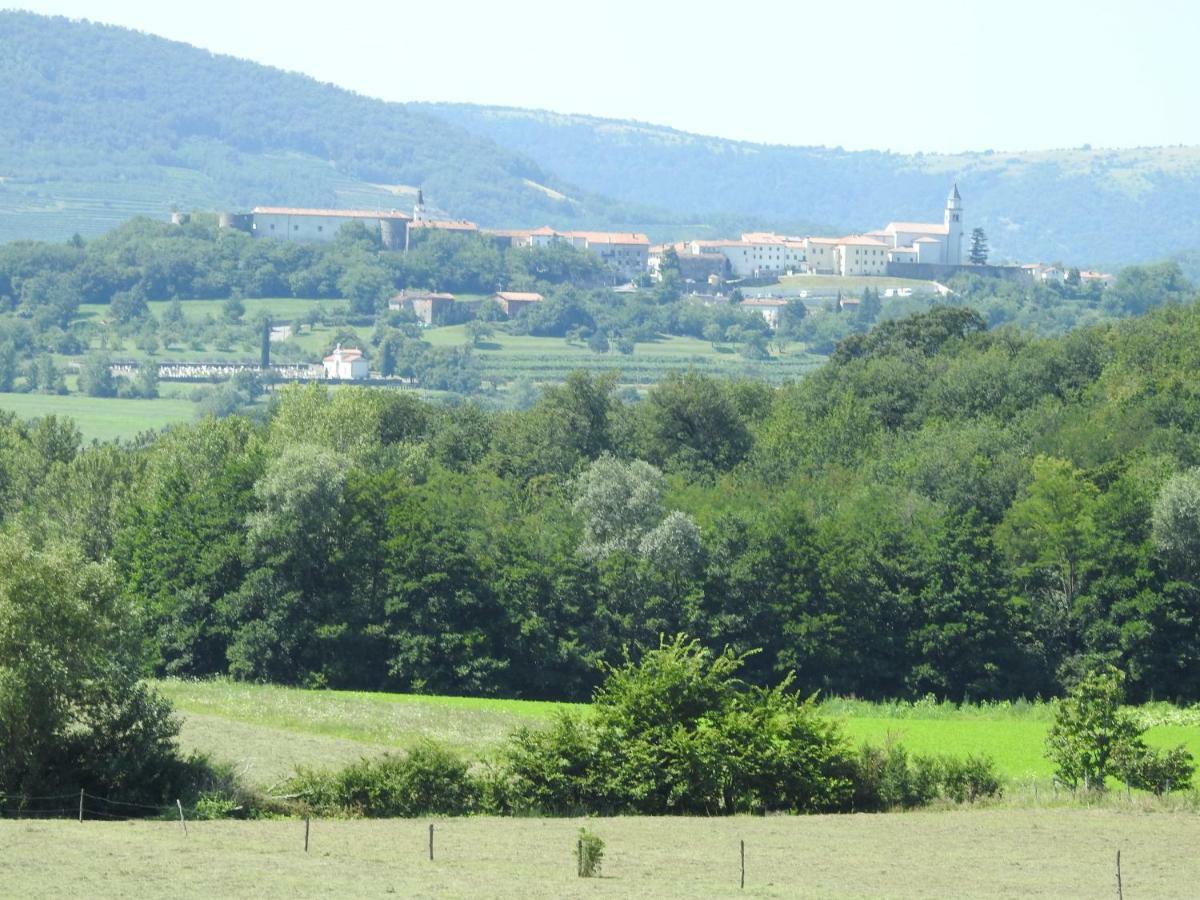 Appartement Turisticna Kmetija Pri Rebkovih à Ajdovščina Extérieur photo